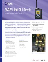 RAELink3 Mesh