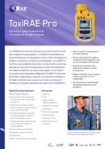 ToxiRAE Pro - 1