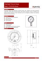 ZHYQ PT124Y-623 diaphragm pressure gauge for homogenizer machine