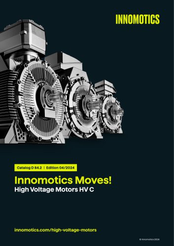 High Voltage Motors HV C