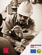 Catalogue Industrie 2017