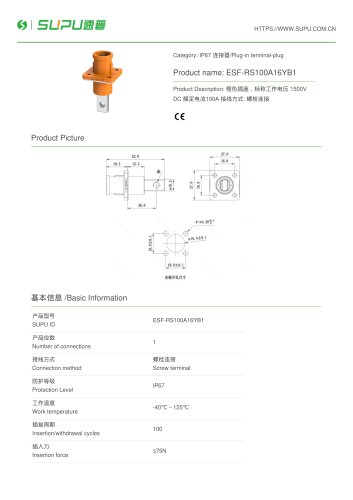 ESF-RS100A16YB1