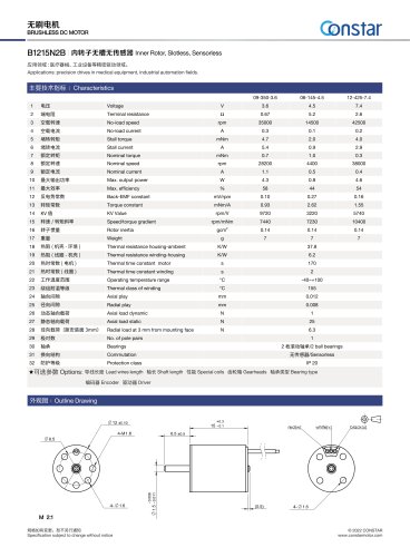 Constar 1215 Brushless DC Motor B1215N2B