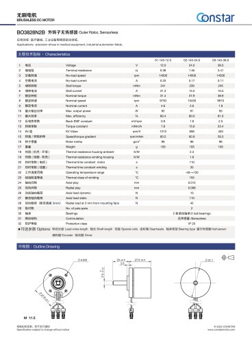 Constar Outer Rotor Brushless DC Motor BO3828N2B