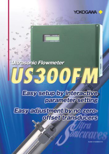 Ultrasonic Flowmeter US300FM