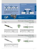 Rivet aveugle de structure FERO-BOLT - 2