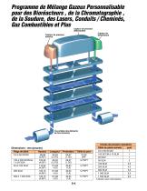 DÉBIT MÈTRES MASSIQUES ET VOLUMÉTRIQUES DE GAZ - 2