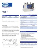 F125-1 (125 kVA Open Generator Set) - 1