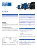 PG750B Gas generator set - 1