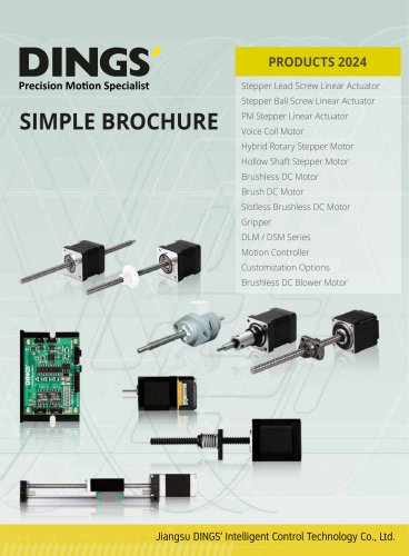 Simple Brochure