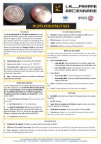 Fiche Produit Plots Podotactiles - 1