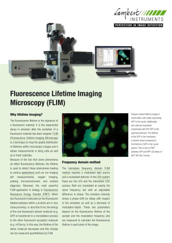 Fluorescence Lifetime Imaging Microscopy (FLIM)