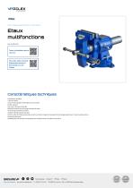 Etaux multifonctions-1