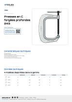 Presses en C forgées profondes 243