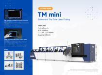 Fiber laser cutting machine TM65 mini