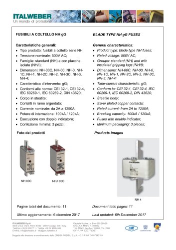 BLADE TYPE NH gG FUSES