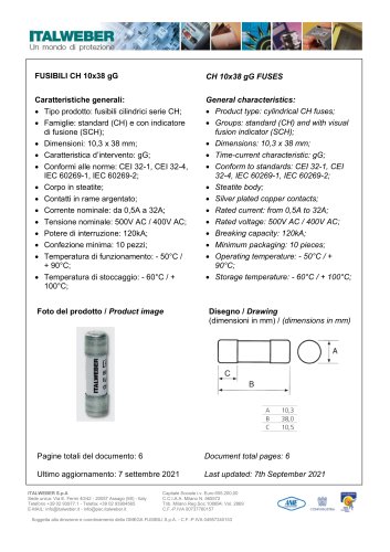 CH 10x38 gG FUSES