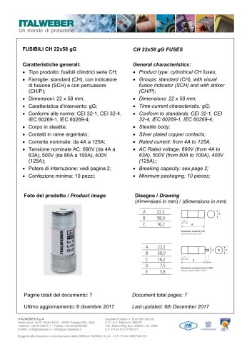 CH 22x58 gG FUSES