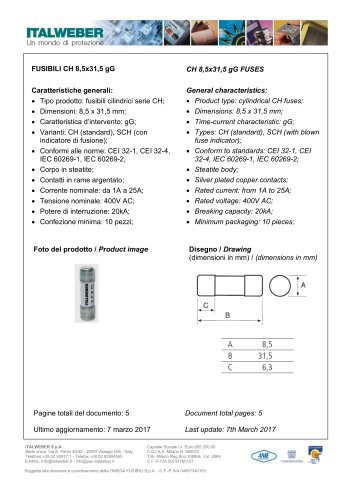 CH 8,5x31,5 gG FUSES