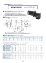 DYD-DC Right Angle Gear Motor-90JW/83ZY125