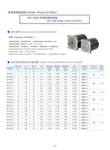 DYD MOTOR_4W ~ 40W Single Phase AC Motor