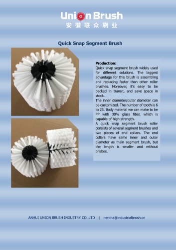 Quick Snap Segment Brush