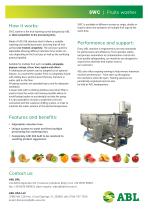 Fruit Washing Machine - 2