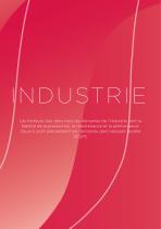 Industry Segment Brochure - 2