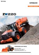 ZW220-5 - 1