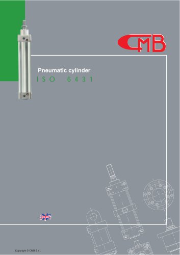 Pneumatic cylinder