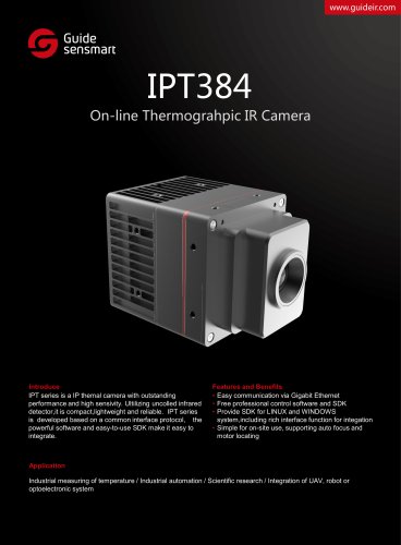 IPT384 On-line Thermograhpic IR Camera