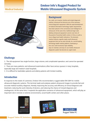 Our case: Mobile Ultrasound Diagnostic System