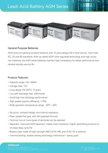 Lead-acid Battery Series