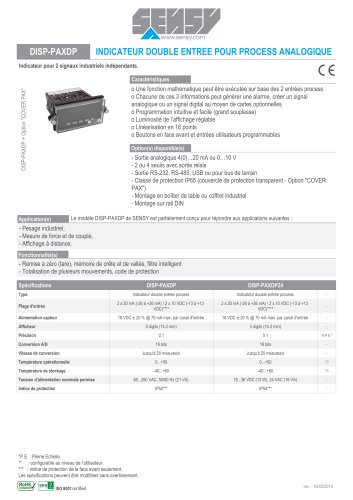 DISP-PAXDP : INDICATEUR DOUBLE ENTREE POUR PROCESS ANALOGIQUE