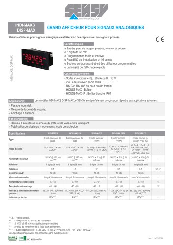 INDI-MAXS DISP-MAX : GRAND AFFICHEUR POUR SIGNAUX ANALOGIQUES