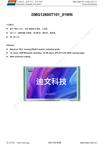 DMG12800T101_01WN Datasheet