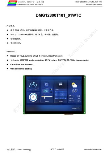 DMG12800T101_01WTC Datasheet