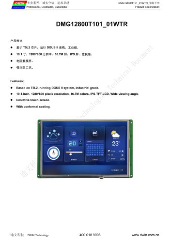 DMG12800T101_01WTR Datasheet