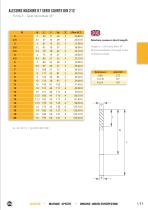 Alésoirs HSS et plaquettes brasées - 11