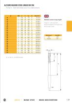 Alésoirs HSS et plaquettes brasées - 17