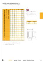 Alésoirs HSS et plaquettes brasées - 21