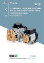 C_P501 Brass - Regenerative Turbine Electric Pump