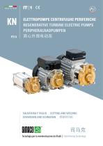 KN Brass - Regenerative Turbine Electric Pumps