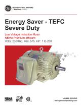 Energy Saver - TEFC Severe Duty