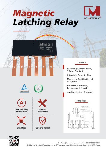 IVY Magnetic Latching Relay IM1001T