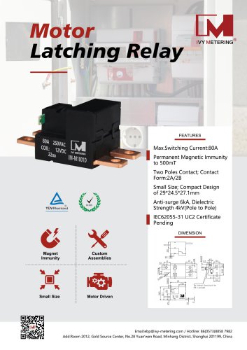 IVY Motor Latching Relay IM-M1001D