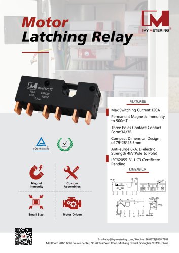 IVY Motor Latching Relay IM-M1201T
