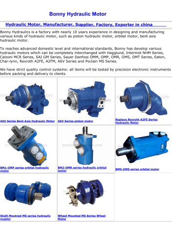 Bonny Hydraulic Motor
