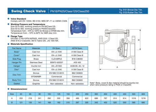 Swing Check Valve