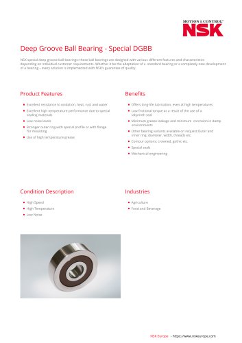 Deep Groove Ball Bearing - Special DGBB